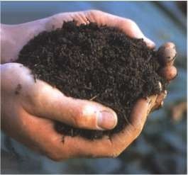 Et bientôt du compost au pied de mon immeuble !