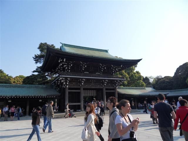Visite du temple Mejri, de Harajuku, et Perikura Shinjuku