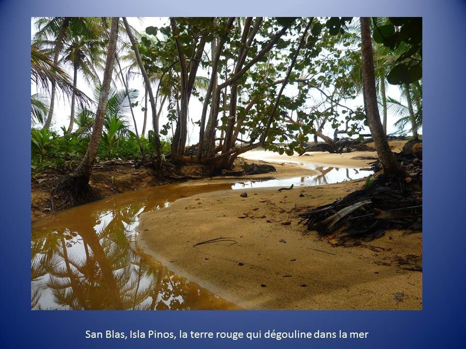 Cahier de bord : San Blas N°2 : Isla Pinos ou Tupbak