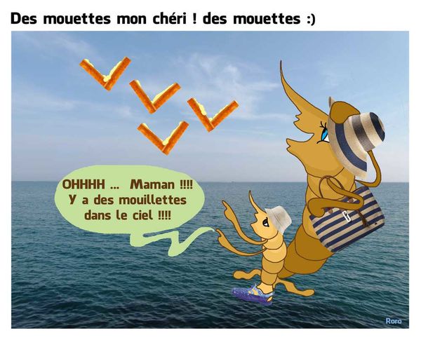 Heu les mouettes ? 