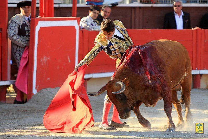 Arènes de VERGEZE (30) Dimanche 14 avril 2013 à 16H30-  Corrida du Rhôny avec  6 Toros des Frères Tardieu pour Marc Serrano, Antonio-João Ferrera et Alberto Lamelas - Cavalerie Heyral