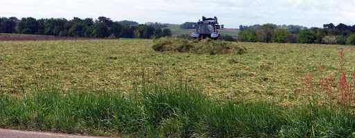 Coups de Cœur du Jour mai 2016 !!! 