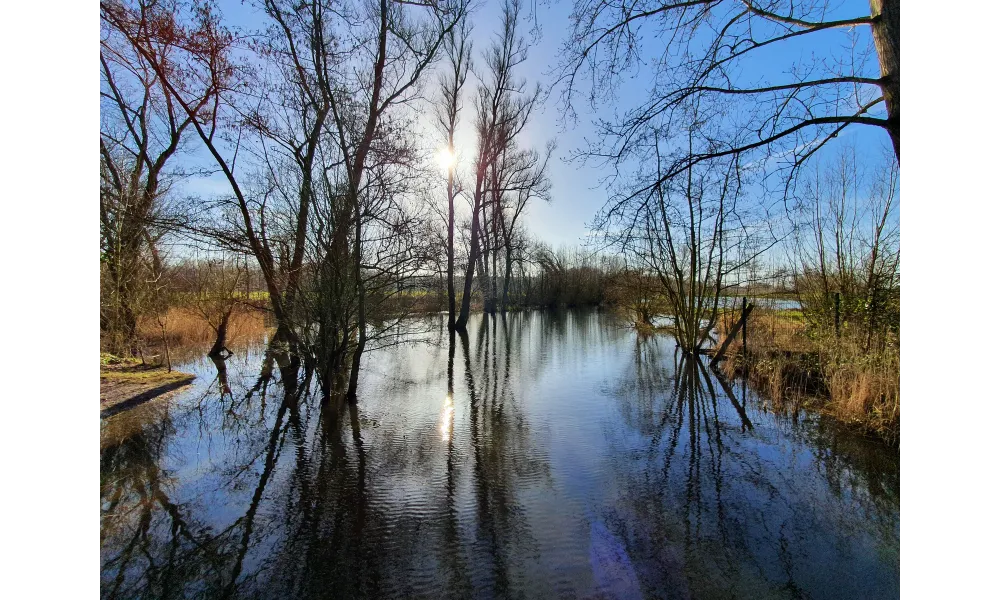 23 février 2022 - De Wavrin à Seclin par parcs et canaux