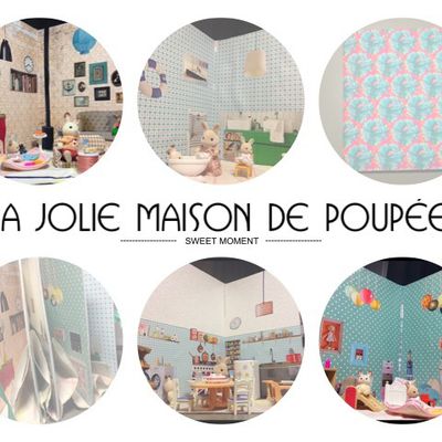 Livre maison de poupées 