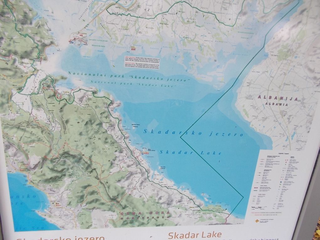 on ne se lasse pas de STEVI STEFAN....le lac Skadar , sa forteresse à Virpazar, et les merveilleuses bouches de Kotor et ses nombreux martins-pêcheurs