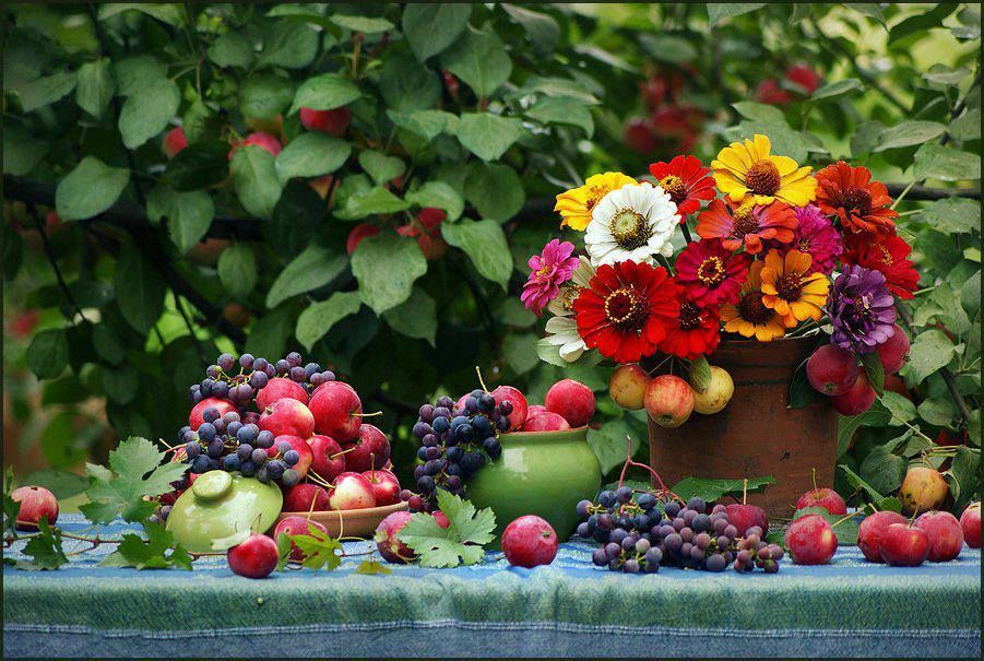 Album - Alimentation