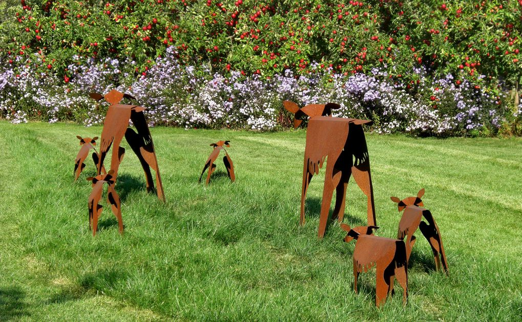 Ce jardin appartient au Conseil Régional de la Lorraine. Il se veut ainsi être une vitrine de ce qui se fait de mieux chez nous... Appartient au groupe transfrontalier des Jardins sans Limites...