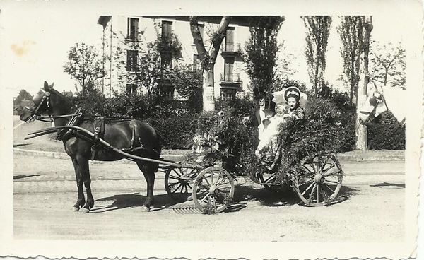 Corso fleuri à Paray le Monial.