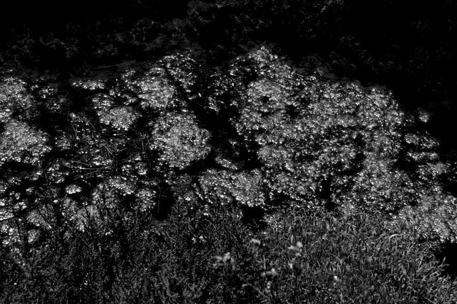 Album - Les Marais-salants de Guerande en noir et blanc