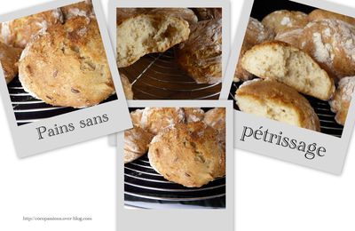 Petits Pains sans pétrissage