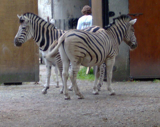 Album - zoo-maubeuge