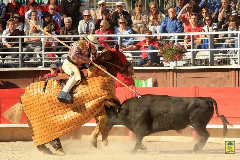 Arènes de VERGEZE (30) Dimanche 14 avril 2013 à 16H30-  Corrida du Rhôny avec  6 Toros des Frères Tardieu pour Marc Serrano, Antonio-João Ferrera et Alberto Lamelas - Cavalerie Heyral