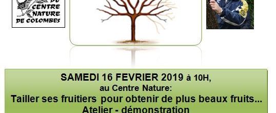 Atelier "Taille des fruitiers" 