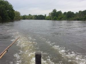 Samedi 12 mai 2018 : première reconnaissance des eaux pour le Lion d'Or