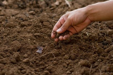 Se réancrer au sol. L'ensolement contre l'enterrement de l'humanité.