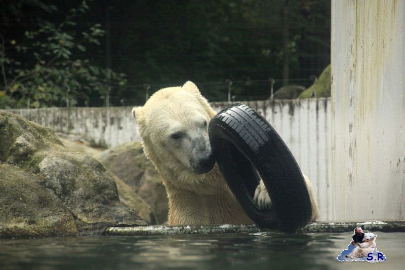 Album - Tierpark Neumunster