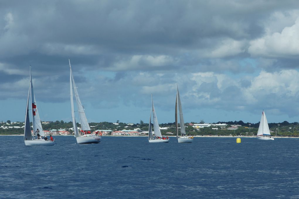 Album - Trophee-Open-Voile-de-St-Francois-2011-2