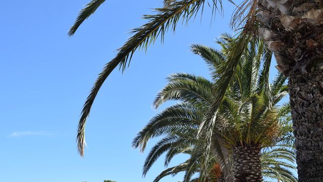 Nos semaines 32 à 35 : Des vacances au soleil dans le Languedoc Roussillon 