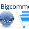 How to Hire BigCommerce Programmer?