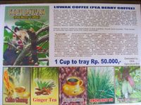 Luwak coffee