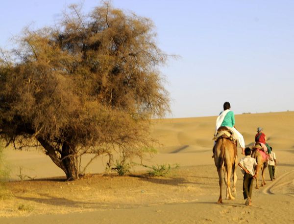 Une nuit dans le désert de Jaisalmer...