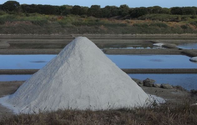 Saint-Molf - Le titre de Marquis, premier paludier à ramasser du gros sel, est décerné à Emmanuel Deniaud