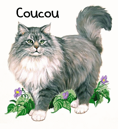 Bon Dimanche La Cuisine De Josette