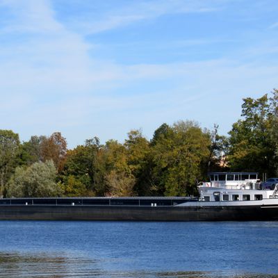 Bateau fluvial "La Vida" sur la Seine