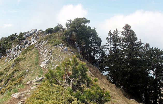 Pointe de Talamarche (1850m) par la forêt de Lanfon et le col des Frêtes