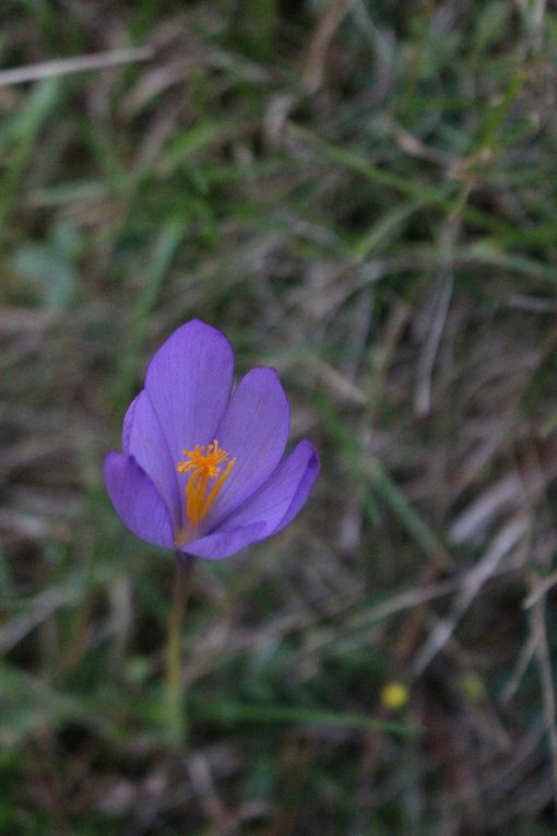 Périple 2017: les Pyrénées 2ème partie