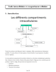 Trafic intracellulaire (Physiologie de la communication, semestre 4, BCP)