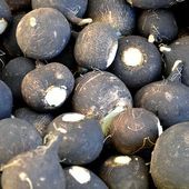 Le radis noir, meilleur ami de votre foie, mais pas seulement !