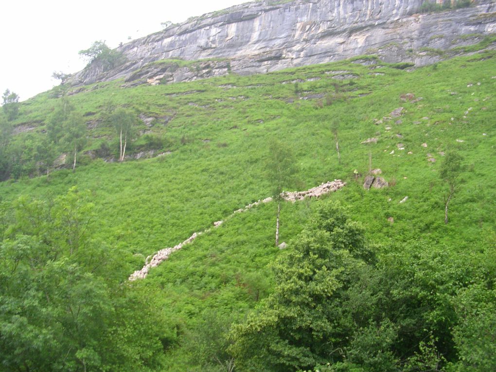 1ère étape de transhumance pour un mois (de mi-mai à mi-juin), avant de revenir cet automne