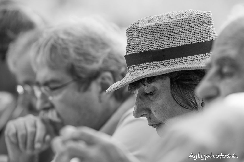 I. MILLESIME 2014