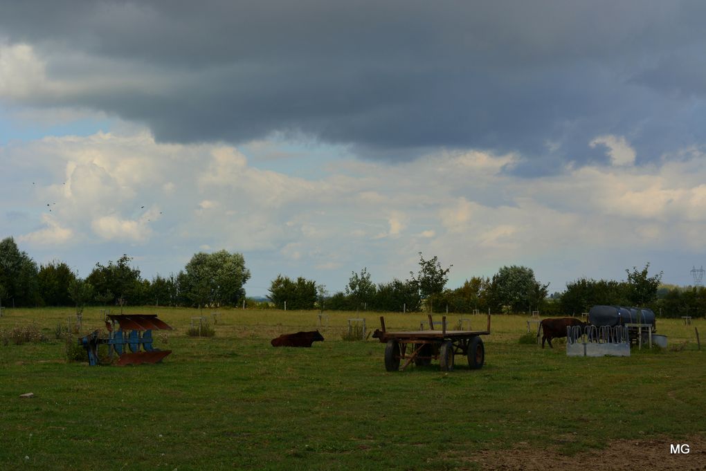 La Ferme du Tertre à Villers-au-Tertre - Photos : 10 septembre 2021.