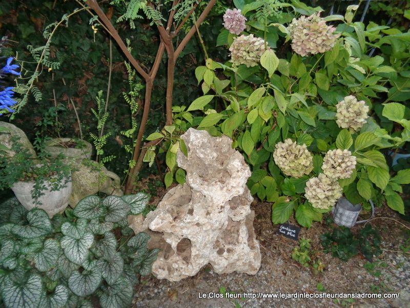 Mon jardin Le Clos fleuri en septembre 2019.....