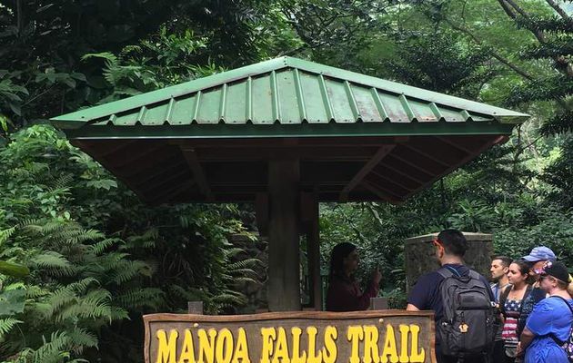 Manoa falls