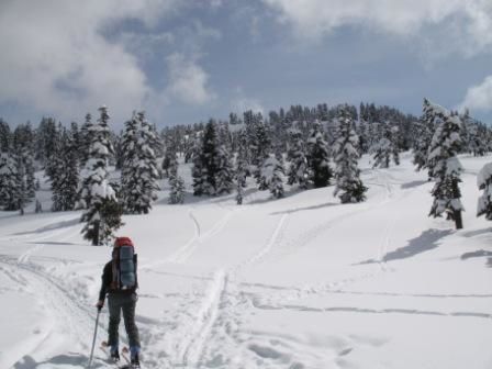 Album - Whistler &amp; Parc Garibaldi