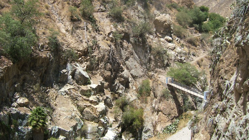 Album - Arequipa et Canyon de Colca