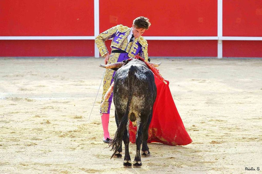 BOUJAN SUR LIBRON, Toros y Campo 1èr et 2 juillet