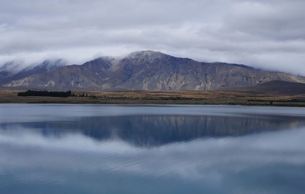  La fin d’une (courte) vie sur les routes de Nouvelle-Zélande …