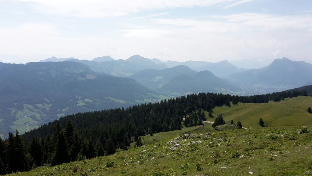 Massif des Bauges et Massif du Jura - Juillet 2017