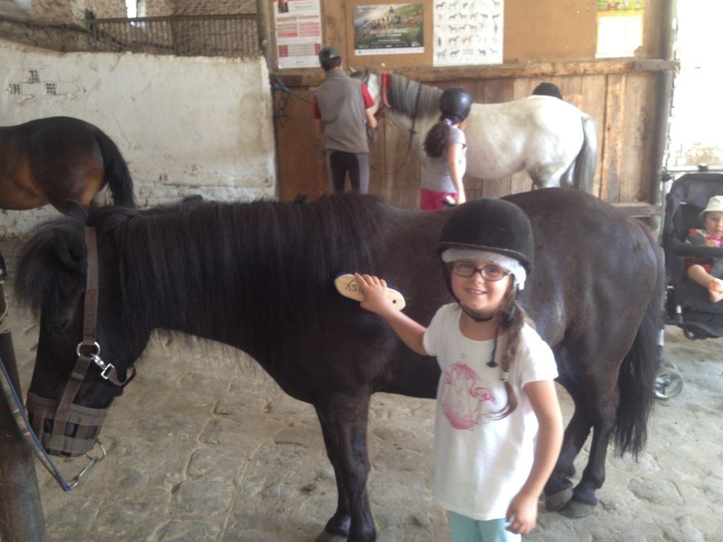 MINI CAMP EQUITATION EN IMAGE