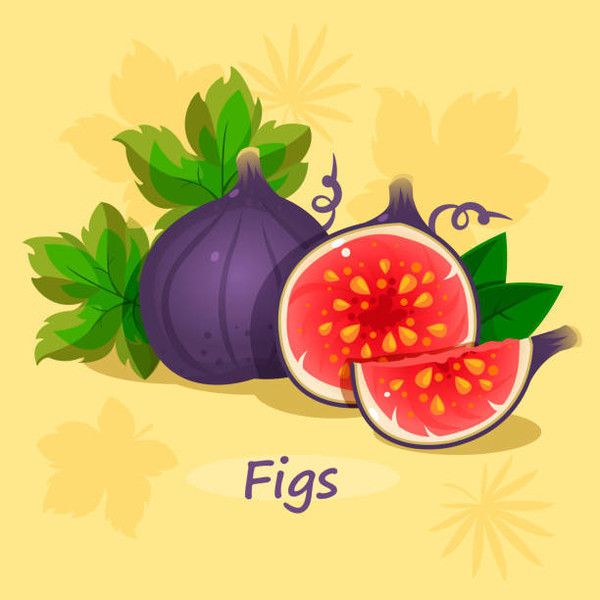 fig  honey  thym