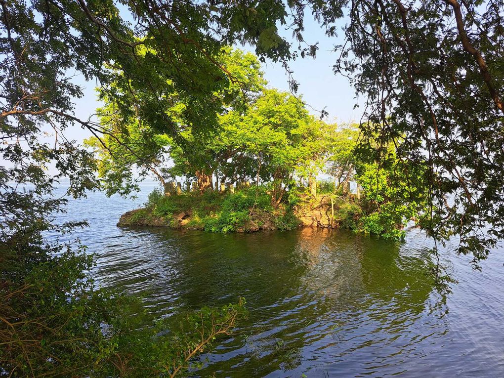 Le Sri-Lanka : Une perle de l'Océan Indien à découvrir