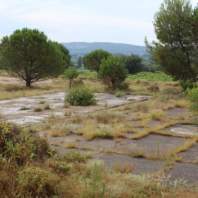 GARD Camp Saint-Maurice-l'Ardoise : les fouilles dévoilent des tombes d'enfants harkis