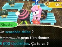 Cinquième journée