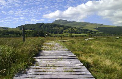 Une marche auvergnate (été 2010)