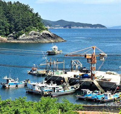 Yeosu (4) ... Excursion dans deux îles au sud-est de Yeosu : Dolsando et Hwataedo