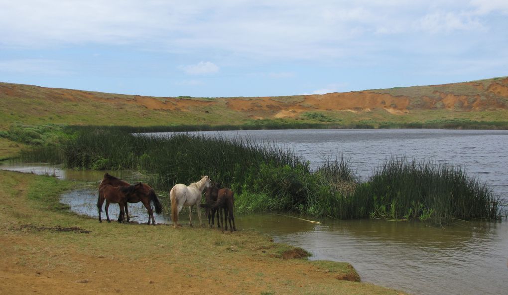 RAPA NUI : MOAÏ - AHU - PUKAO  
TAPATI : Fête annuelle durant 2 semaines entre 20 janvier et fin février